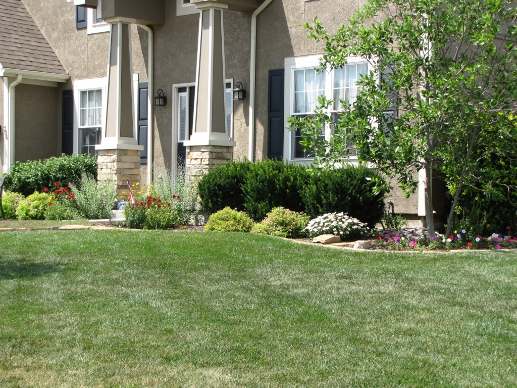 lawn of the month1 | Buddy Rodgers and Son Professional Lawn Care